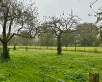 Obstwiese