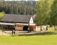 Südblick Paddock, Offenstall, Scheune